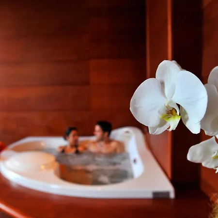 Hotel Tronas &